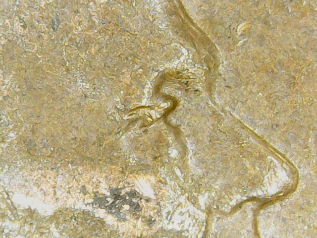 I've-Come-Across-A-1952-D-LWC-With-What-Looks-To-Me-To-Have-3-Separate-Mint-Mark